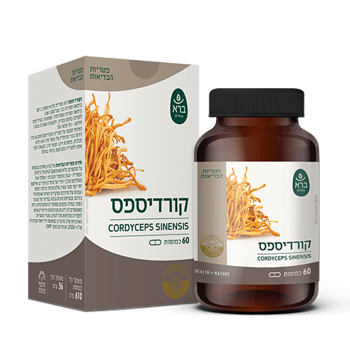 כמוסות קורדיספס | Cordyceps sinensis - ברא צמחים