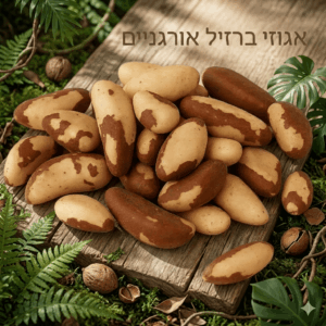 אגוזי (אגוז) ברזיל אורגניים במשקל בכפולות של 100 גרם ניצת הדובדבן