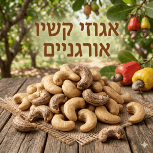 אגוזי קשיו אורגניים במשקל קשיו קרמי-גולמי ניצת הדובדבן