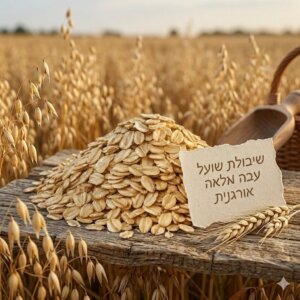 שיבולת שועל עבה מלאה אורגנית פתיתים קראנצ'יים לאנרגיה מתמשכת ניצת הדובדבן