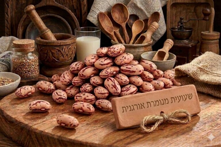 שעועית מנומרת אורגנית בתפזורת – עשירה בסיבים, חלבון צמחי ומגנזיום ניצת הדובדבן