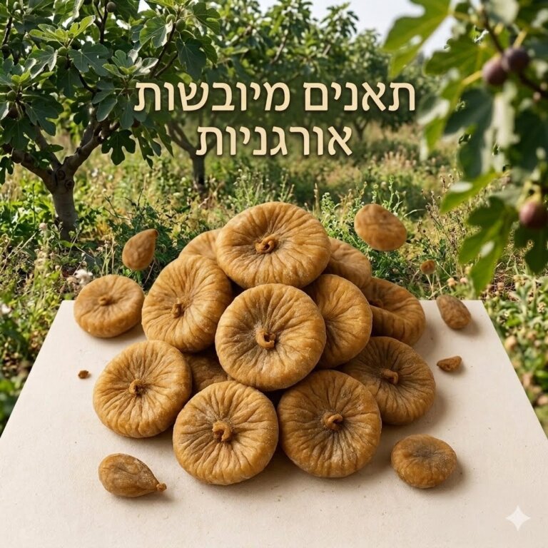 תאנים אורגניות מיובשות בשמש ניצת הדובדבן