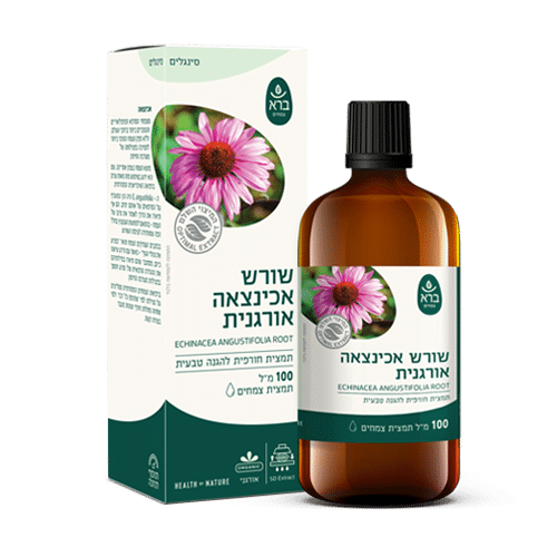 תמצית אכינצאה אורגנית (100 מ"ל) | Echinacea angustefolia rootft | ברא צמחים