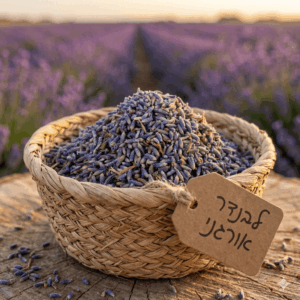 אזוביון לבנדר אורגני lavandula hyb - ריח של רוגע עלים שלמים על עלים