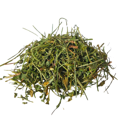 וורבנה רפואית אורגנית | Organic Verbena officinalis | על עלים | כל הצמח גרוס | נארז לפי משקל בכפולות של 50 גרם