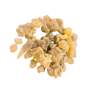 לבונה שרף | Boswellia papyrifera/thurifera – תוסף תזונה