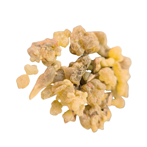 לבונה שרף | Boswellia papyrifera/thurifera – תוסף תזונה