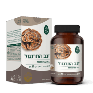 פטריית זנב התרנגול Turkey Tail PSK – חוסן טבעי מהמזרח | ברא צמחים