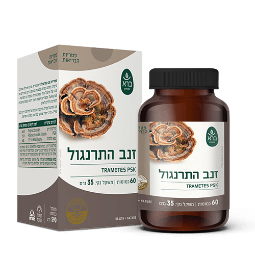פטריית זנב התרנגול Turkey Tail PSK – חוסן טבעי מהמזרח | ברא צמחים