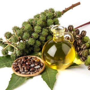 שמן קיק Castor Oil — מרפא טבעי עתיק לשיער ולעור | 250 מ"ל | על עלים