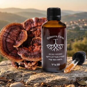 תמצית פטריית ריישי – גופי פרי בלבד מיצוי משולש לרוגע, שינה ותמיכה חיסונית טריטרה פארם