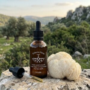 תמצית פטריית רעמת האריה – גופי פרי בלבד Triple Extract Pure Lion's Mane Mushroom טריטרה פארם