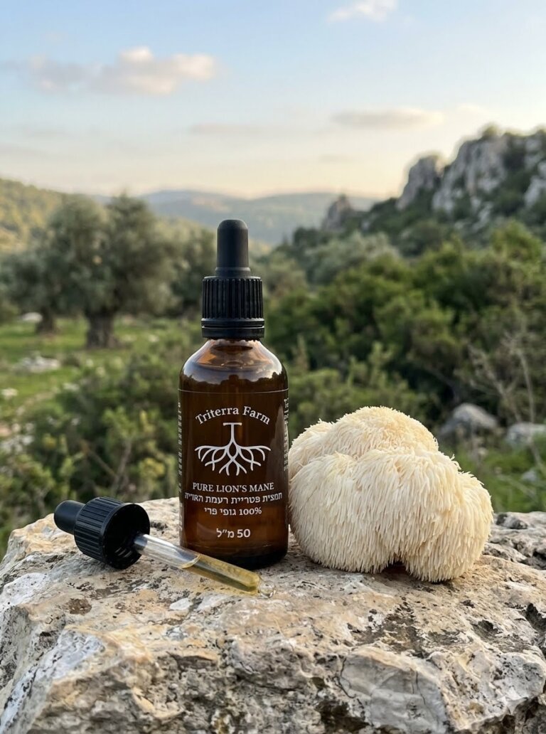 תמצית פטריית רעמת האריה – גופי פרי בלבד Triple Extract Pure Lion's Mane Mushroom טריטרה פארם